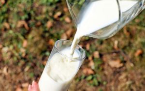 Conjoncture du lait Bio