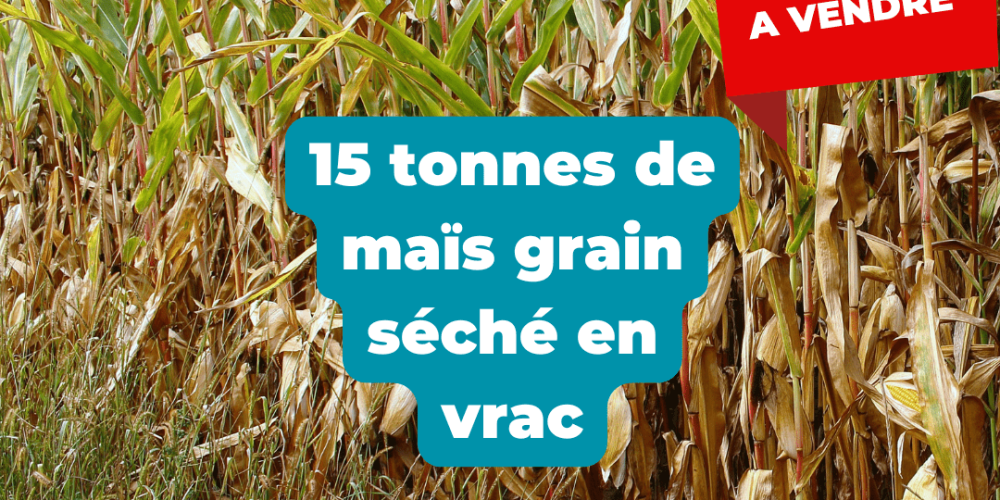 15 tonnes de (1)