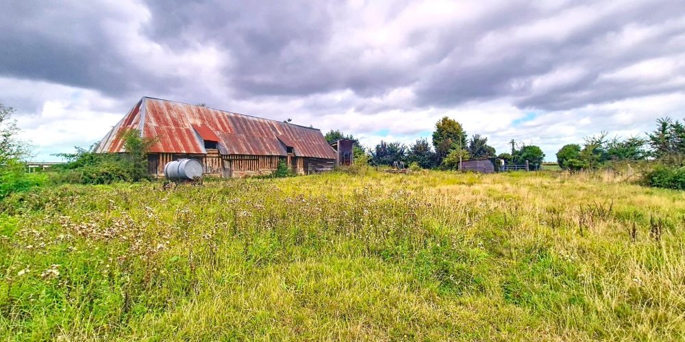 543388070_2070794946788807_2343050610936274863_n