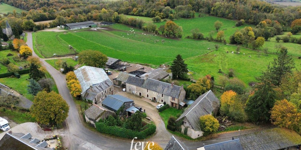 691761455cb1a83c3317e6e9_dji_fly_20251031_125418_267_1761911882381_photo_optimized-p-2000