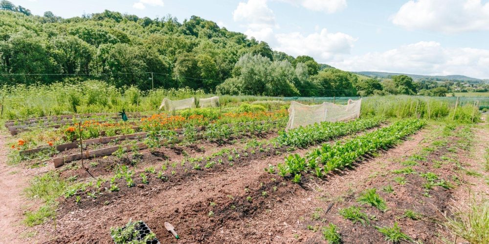 Adhesion 2025 Agriculteur (23)