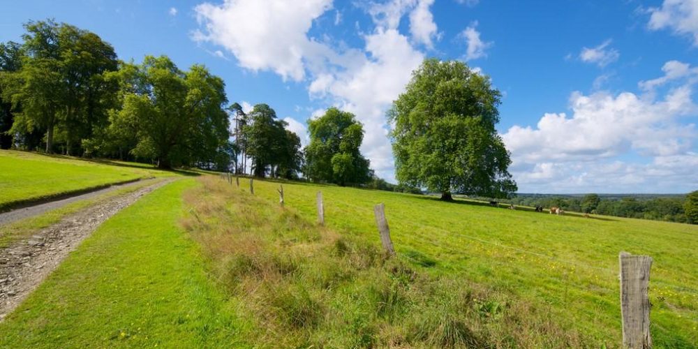 Annonce ferme pédagogique élevage