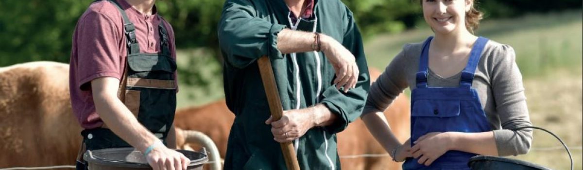 Capture d’écran 2025-08-05 160235