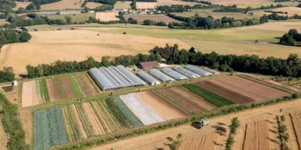 Capture d’écran 2026-01-21 092050