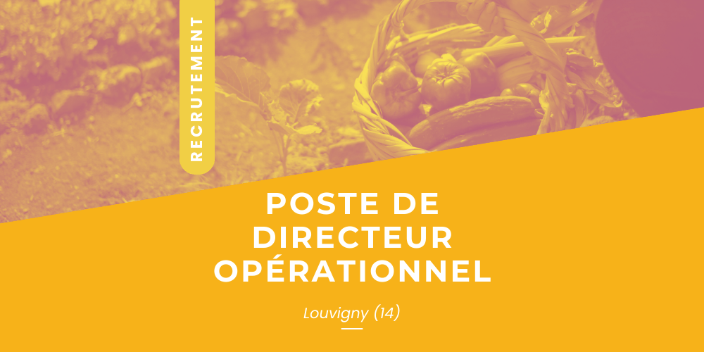 Copie de Post publication Linkedin nouvelle recrue entreprise emploi moderne duotone sérieux graphique jaune