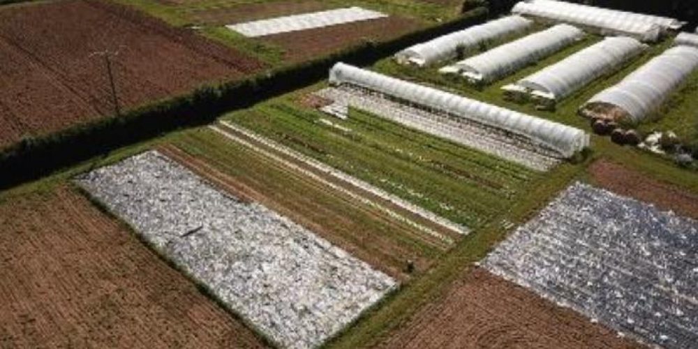 ETA Cauville sur mer