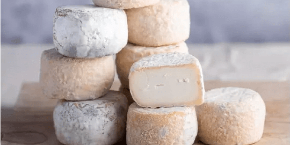Fromage chèvre