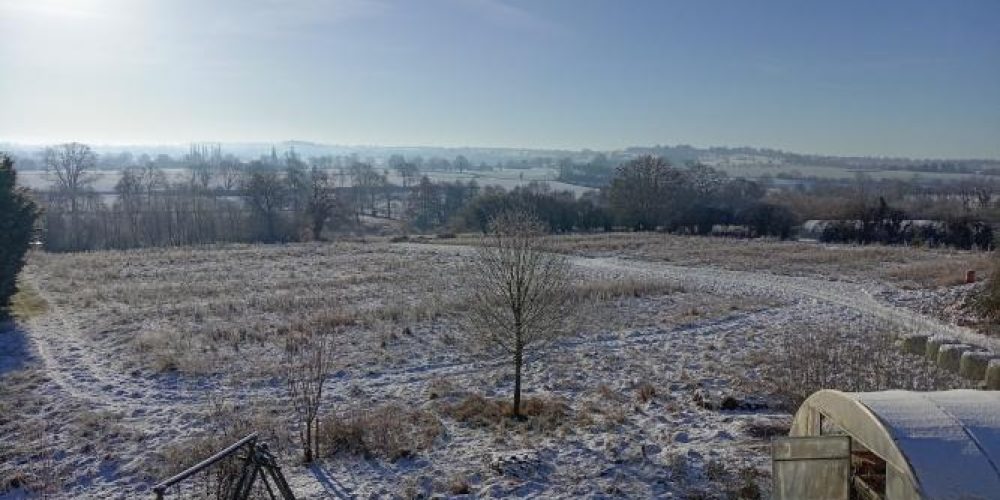 IMG_20260106_113204PT