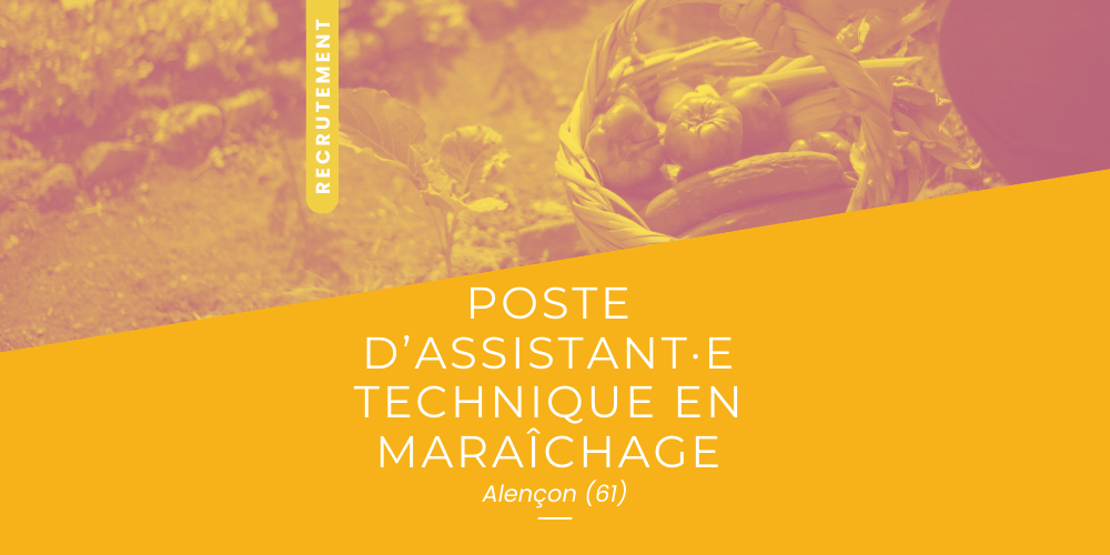 Post publication Linkedin nouvelle recrue entreprise emploi moderne duotone sérieux graphique jaune