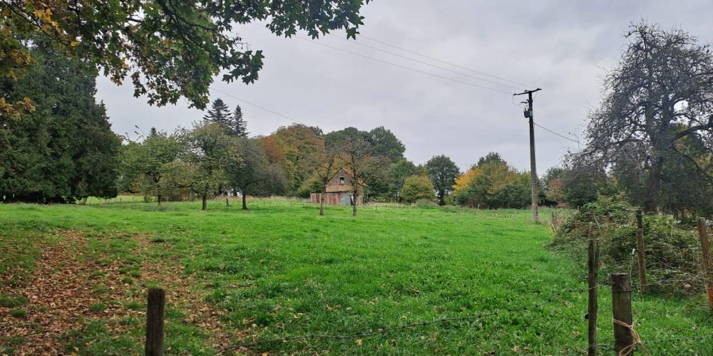 WhatsApp Image 2025-10-16 at 08.32.17