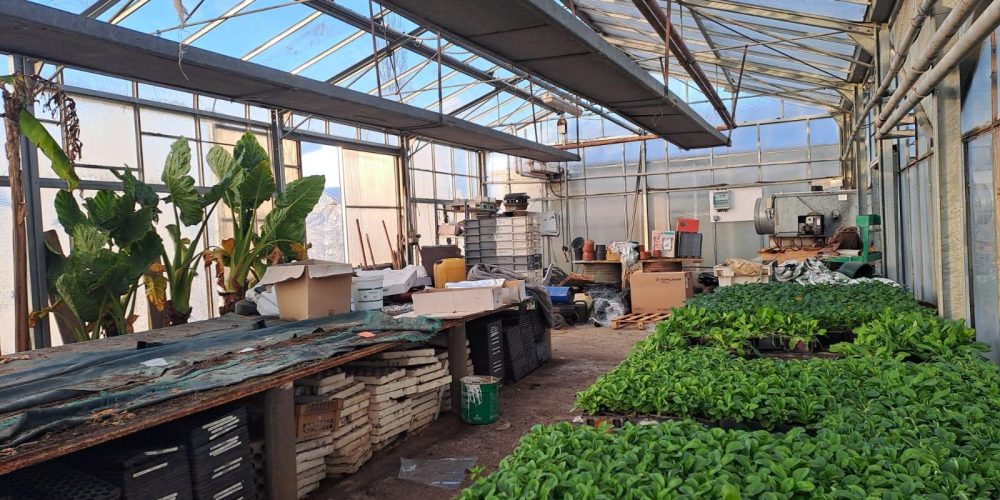 WhatsApp Image 2025-12-05 at 10.51.57