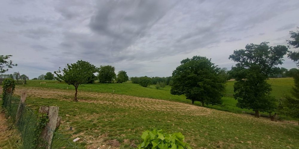 WhatsApp Image 2026-04-29 at 14.25.40