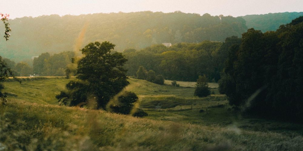 gautier-salles-_NAwOXcyxFk-unsplash