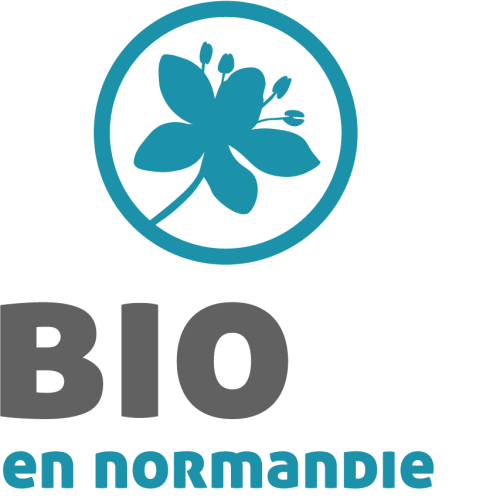 logo-ben-transparent-r127d3k2o51qis21jvo1k644qr9bu9i8897ofdenpk