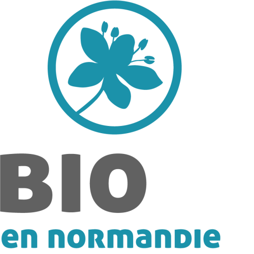 logo-ben-transparent