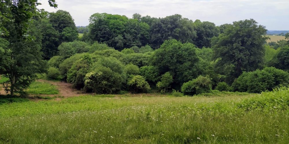 photo pente montilly