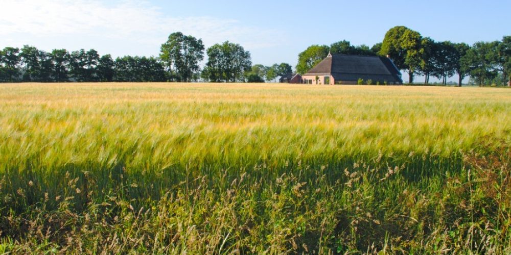 skitterphoto-3438-default (1)